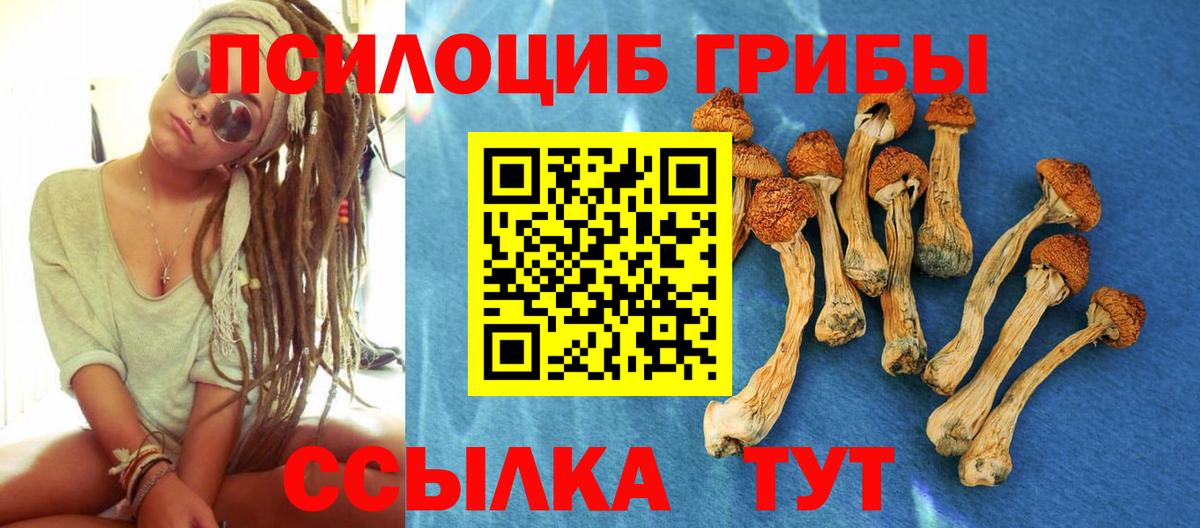 Петропавловск-Камчатский  Галлюциногенные грибы GOLDEN TEACHER  Вход с VPN 
